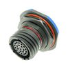 AMPHENOL LTD D38999/24FJ43HA-LC