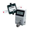 OMEGA FLR1011-BR-P