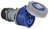 HONEYWELL K9124BLU