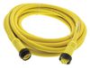 MOLEX 1300100869.
