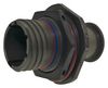 FILCONN FCIBD38999/24FA98PN