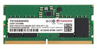 TRANSCEND TS1GSA64V6G