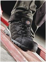 Dickies tiber outlet ss trainer