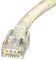 SPEEDY RJ45 PXSPDY6C#100