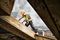 DEWALT WORKWEAR PRO TRADESMAN 30/33