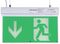 PRO ELEC PELL0302